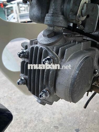 cúp 50cc