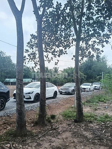Đất nền sẵn sổ ( SHR ) nằm giữa 3 KCN lớn (Dầu Tiếng1-2-3) Tp Bình Dươ