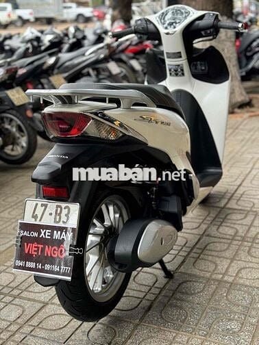 Sh 2023 phố