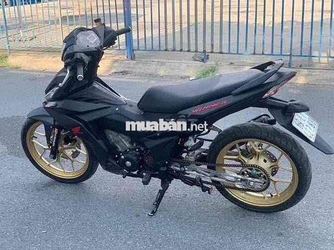 winner v1 2019