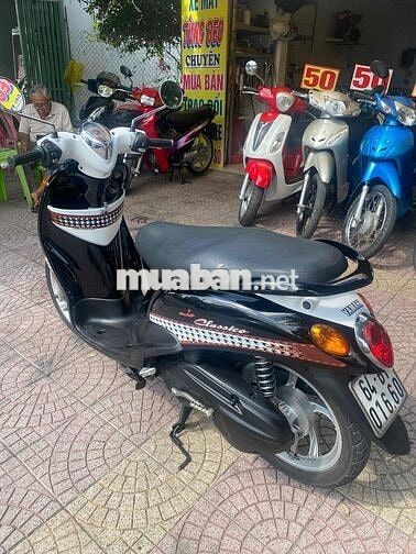 classico đẹp vĩnh long