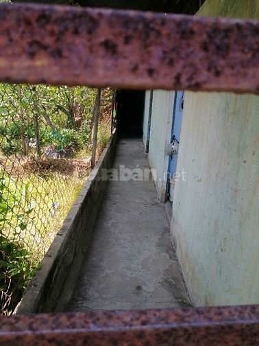 Bán dãy trọ cũ sau lưng khu hành chánh TX Bình Minh - Vĩnh Long