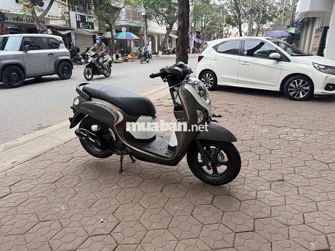 Honda Scoopy 2025 xe mới 100% nhập indo 3X tr