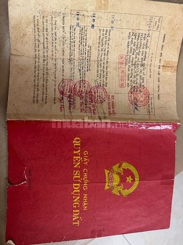BÁN ĐẤT ĐẤT LÚA TPHCM KHU ĐÔ THỊ NAM THÀNH PHỐ