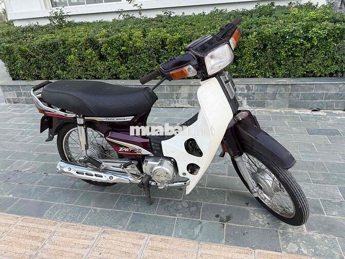 Bán Dim 50cc học sinh không cần bằng lái
