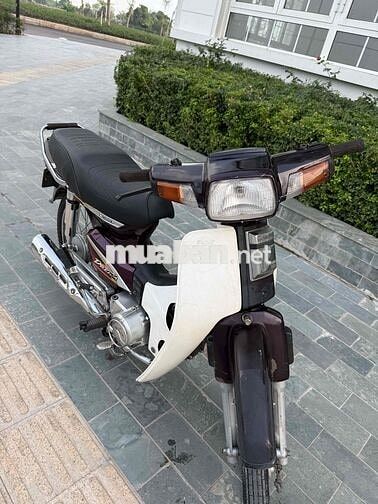 Bán Dim 50cc học sinh không cần bằng lái