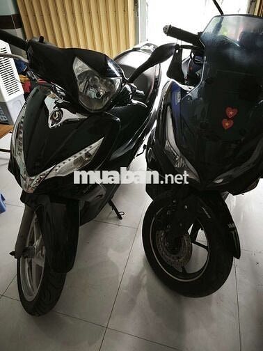 xe Shark bstp đẹp htdd