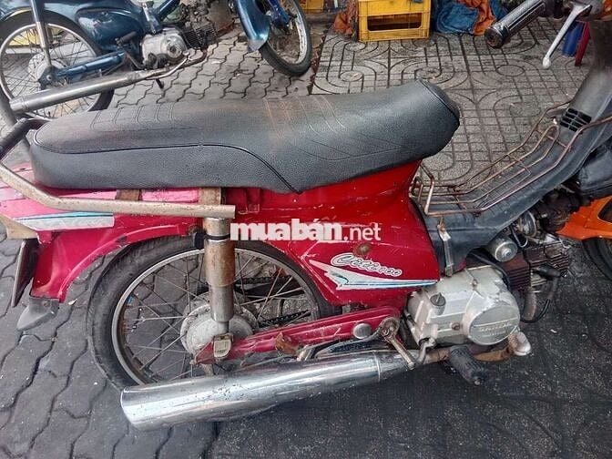 Citi100