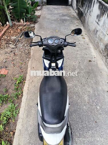 HAYATE 125 GIÁ NHƯ XE TQ