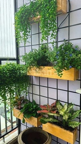BÁN 62m2. 2PN.wc. Mặt tiền gần An Nhơn. Chung cư quận Gò Vấp