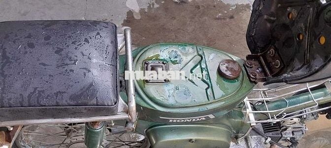 Cub 81 70cc