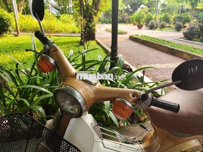 CUB ÉN XƯA ĐẦU VÊNH - MÁY CÁNH GIN NGUYÊN