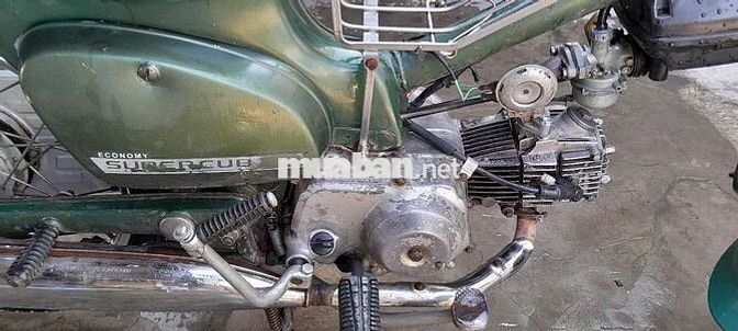 Cub 81 70cc