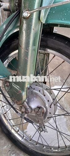 Cub 81 70cc