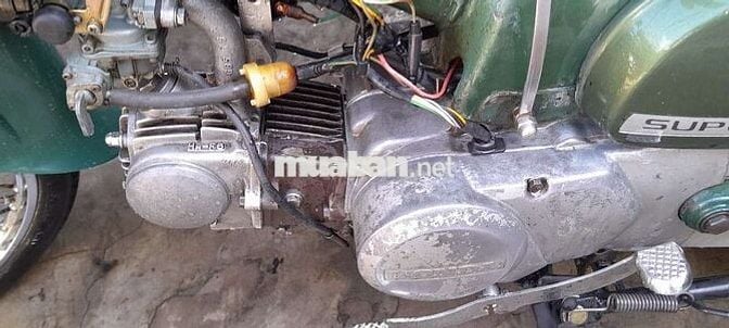 Cub 81 70cc