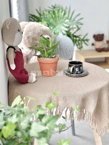 Nhà Đẹp Dòng Tiền, Ngõ Thông, Thái Thịnh 77m, 7 tầng, mt 11m, 24.85 tỷ