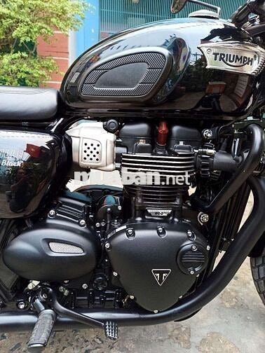 Triumph Bonneville T100