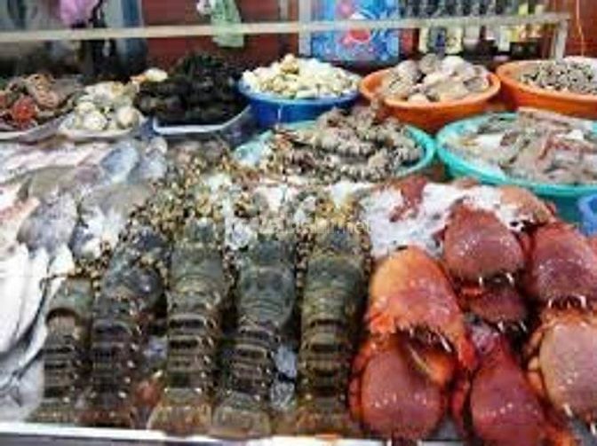 Bán 200m2 nhơn hội, quy nhơn, TT hành chính tỉnh