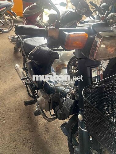 Bán Cub 50cc Nhật