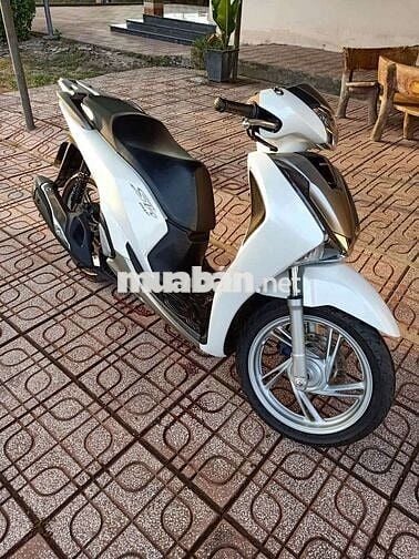Sh 150 abs 2019