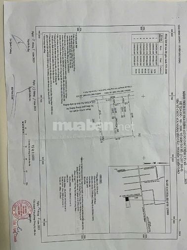 cần bán đất mặt tiền đường Trừ Văn Thố 23, vị trí đắc địa, tiềm năng