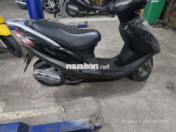 Attila Victoria xe đi nhậu