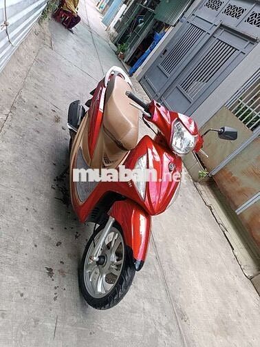 Shark mini 125. Fi