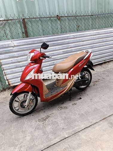 Shark mini 125. Fi