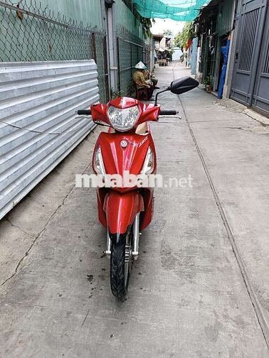 Shark mini 125. Fi