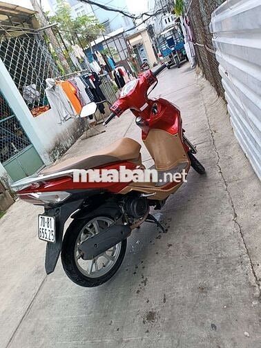 Shark mini 125. Fi