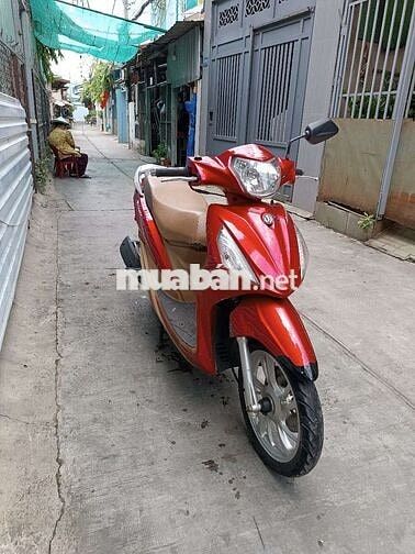 Shark mini 125. Fi