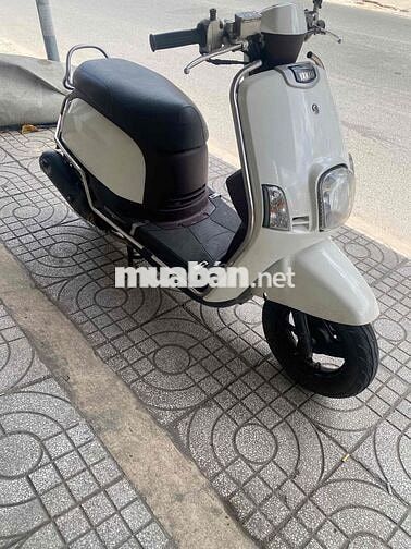 yamaha cuxi 2011 bstp cà vẹt đầy đủ