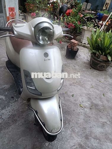 Fiddle 125, bstp.