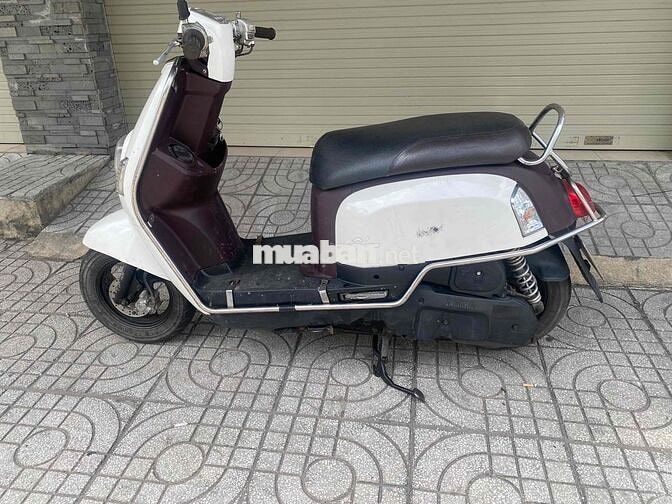 yamaha cuxi 2011 bstp cà vẹt đầy đủ