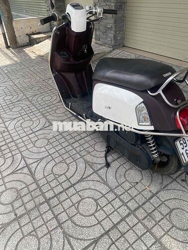 yamaha cuxi 2011 bstp cà vẹt đầy đủ