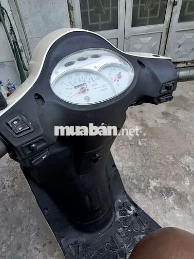 Fiddle 125, bstp.