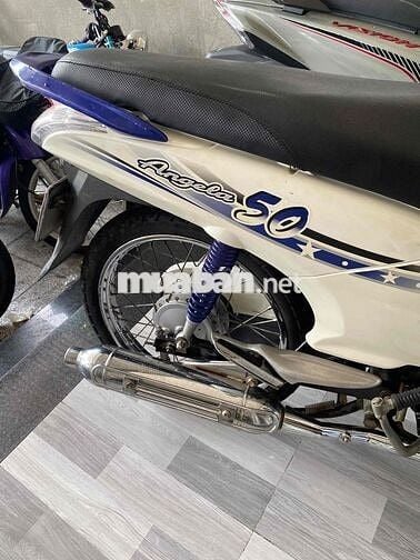 🇻🇳Angela 50cc dành cho học sinh