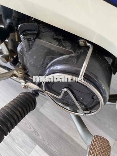🇻🇳Angela 50cc dành cho học sinh
