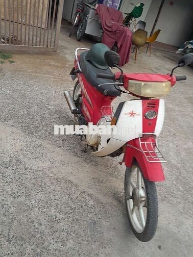Bán xe như hình cà vẹt đầy đủ biển thành phố