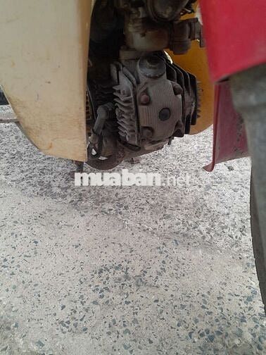 Bán xe như hình cà vẹt đầy đủ biển thành phố