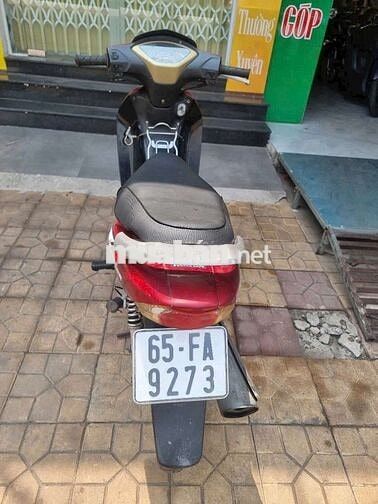 50cc xe rất đẹp máy thì thầm