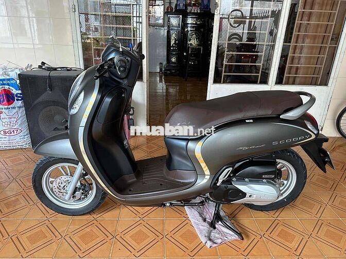 Bán scoopy 2021 BS 65 ngây chủ