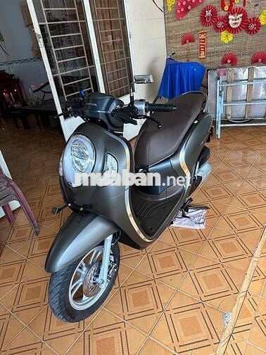 Bán scoopy 2021 BS 65 ngây chủ
