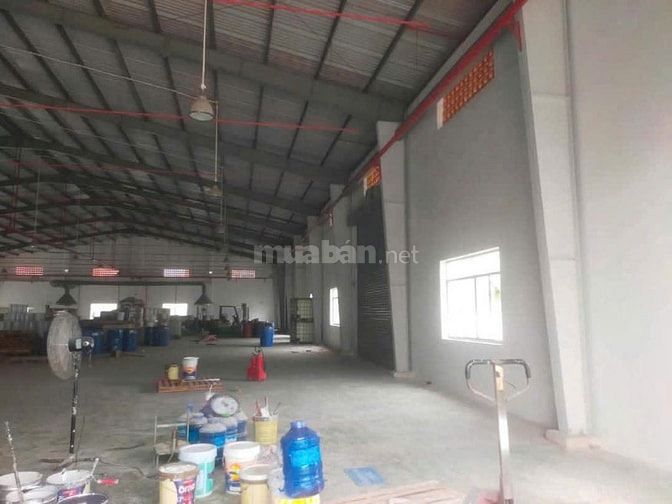  Cho thuê nhà xưởng mới Khu Công Nghiệp Long Hậu – Cần Đước, Long An, 