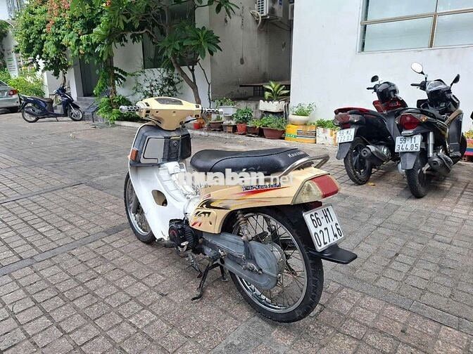 Xe max Hàn Quốc