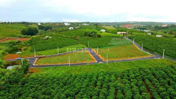 Đất nền đầu tư ngay TP Bảo Lộc , Dambri. DT 250m2 - Giá 1.5 tỷ . SHR