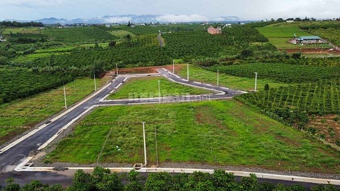 Đất nền đầu tư ngay TP Bảo Lộc , Dambri. DT 250m2 - Giá 1.5 tỷ . SHR