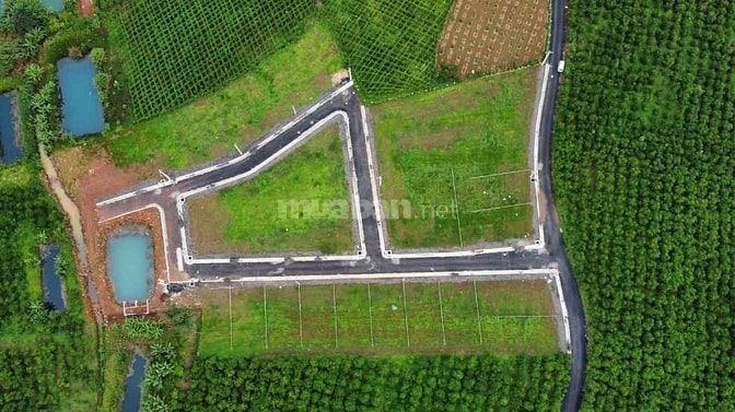 Đất nền đầu tư ngay TP Bảo Lộc , Dambri. DT 250m2 - Giá 1.5 tỷ . SHR