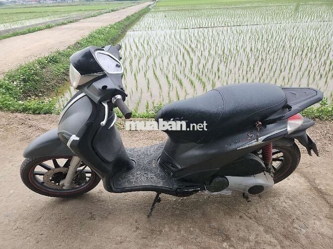 Liberty 3vis S 2015