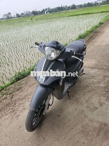 Liberty 3vis S 2015